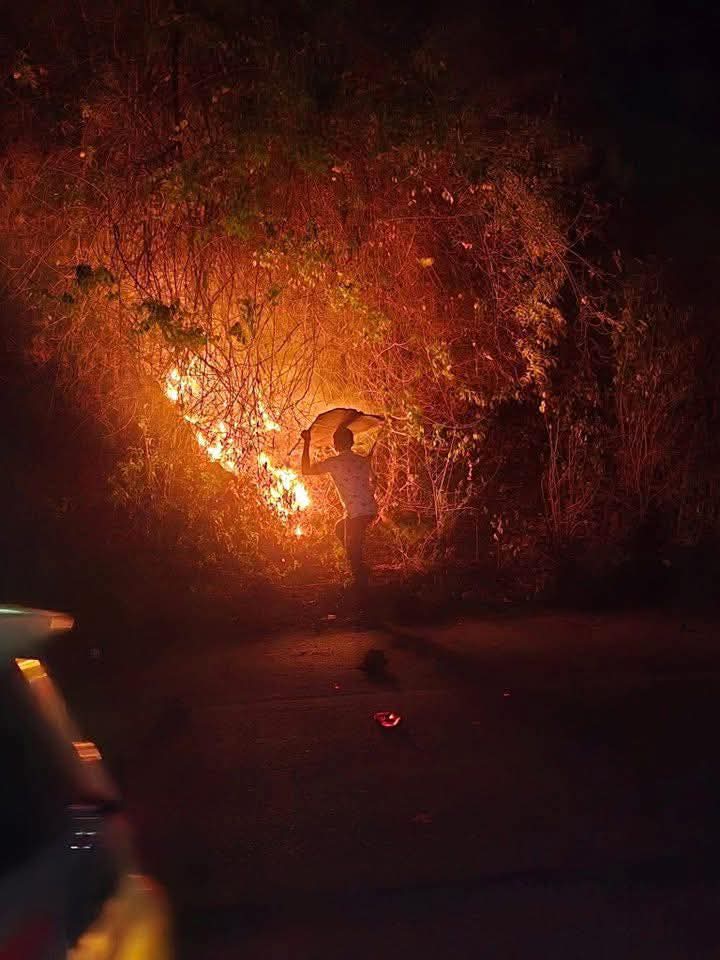 حريق يلتهم غابة ياكيليجو بأنجوان