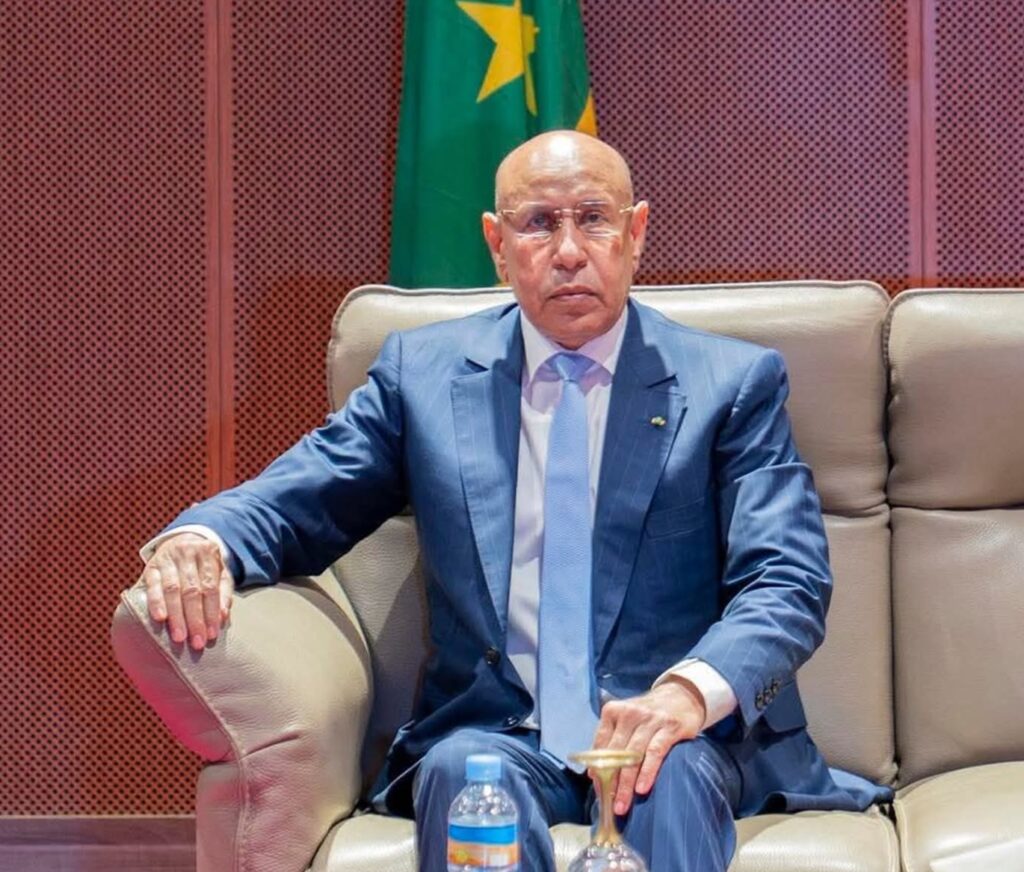 المعادن ثروة موريتانيا الواعدة