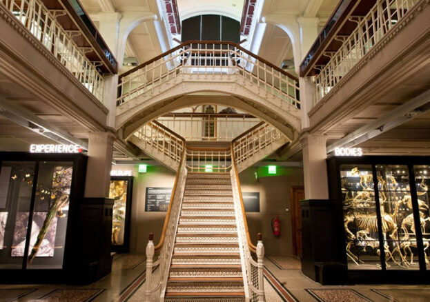 أكثر من 40 ألف قطعة أفريقية.. متحف مانشستر يعيد فتح الذاكرة الافريقية